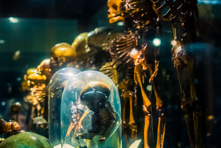 2013 mummie 06 feti bambini beatrice barberis 2013 mummie 06 feti bambini beatrice barberis