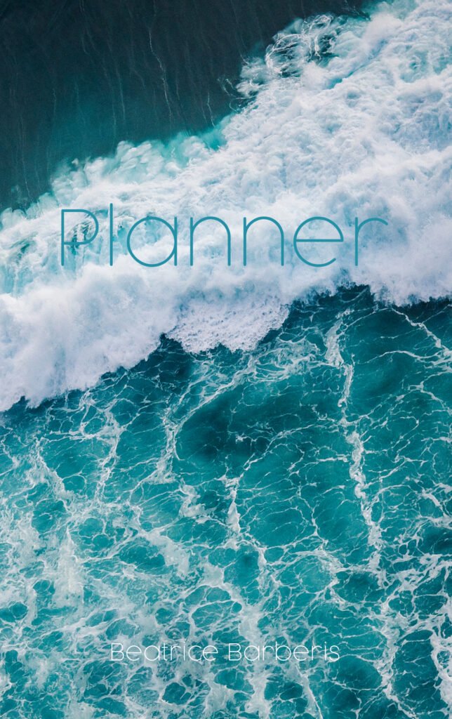 perpetual weekly and monthly planner agenda