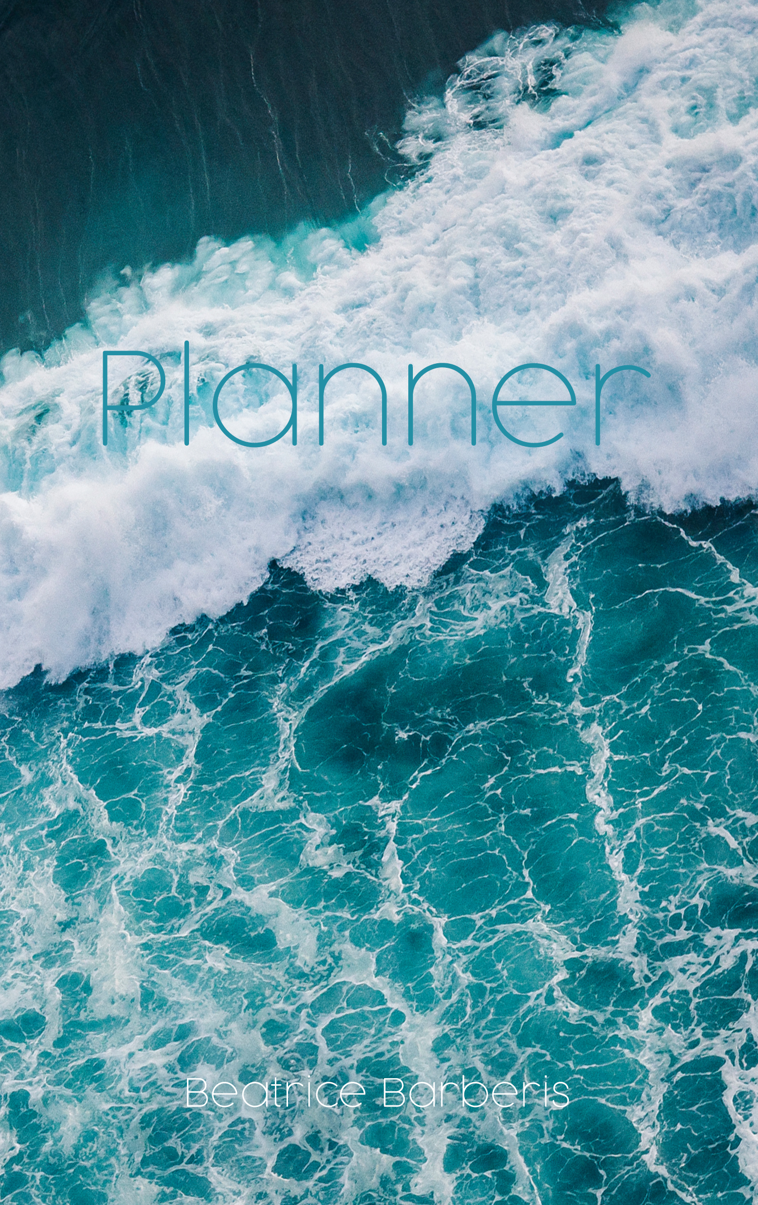 perpetual weekly and monthly planner agenda perpetual weekly and monthly planner agenda