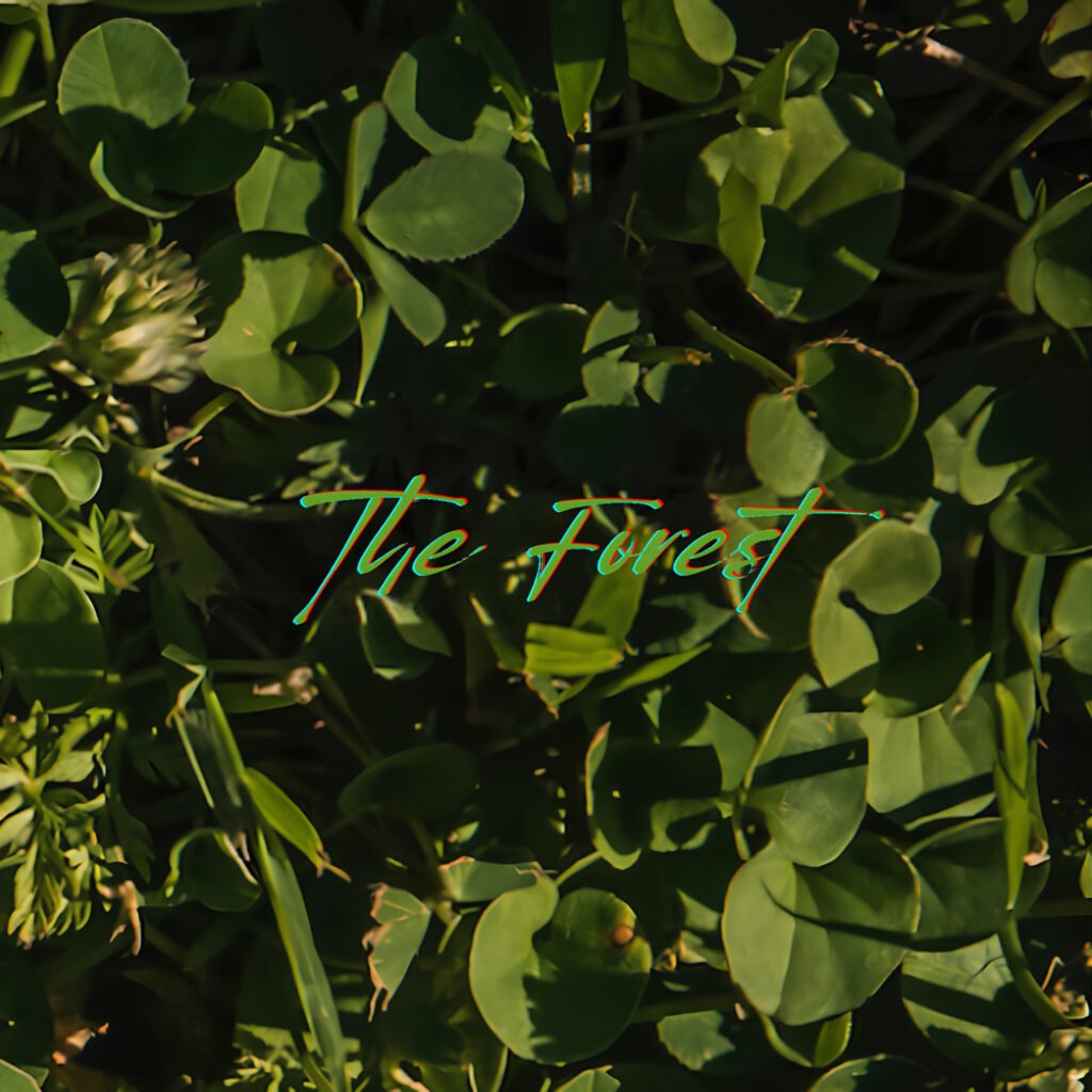 the forest