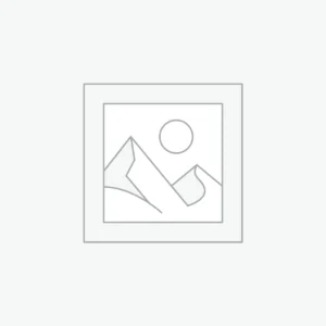 Digital Identities